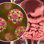 Lawrence Aseba revela por que a microbiota intestinal é essencial para o equilíbrio e a saúde do corpo inteiro.