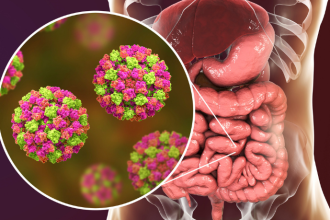 Lawrence Aseba revela por que a microbiota intestinal é essencial para o equilíbrio e a saúde do corpo inteiro.