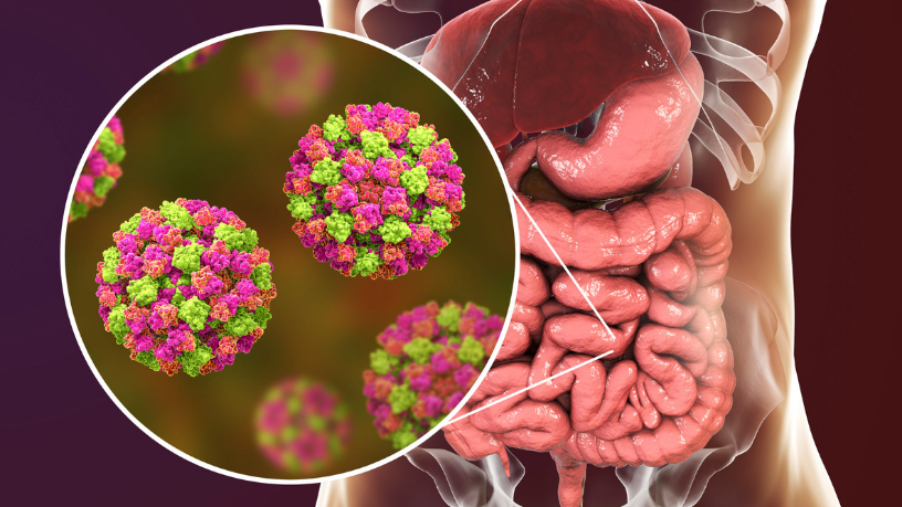 Lawrence Aseba revela por que a microbiota intestinal é essencial para o equilíbrio e a saúde do corpo inteiro.