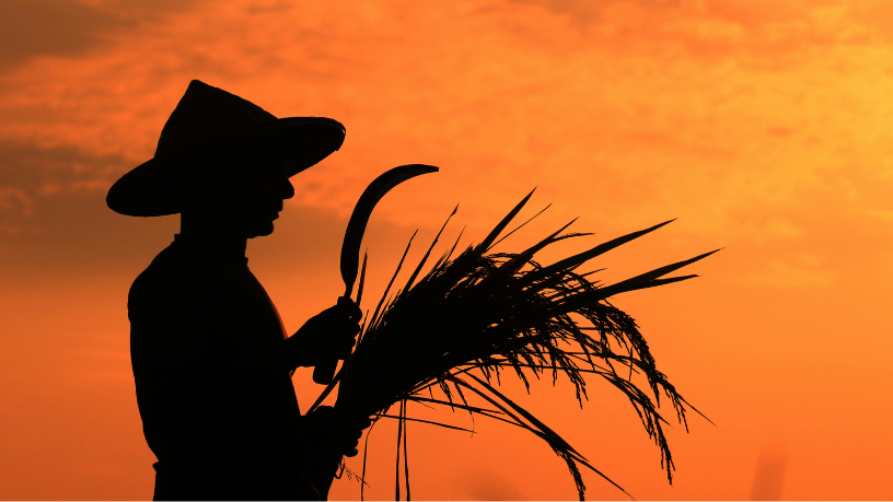 Sustentabilidade e capacitação definem o sucesso das políticas públicas no campo maranhense, afirma Fabio Jose Gentil Pereira Rosa.